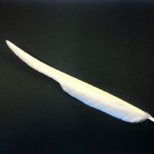Ivory Goose Wing Feather